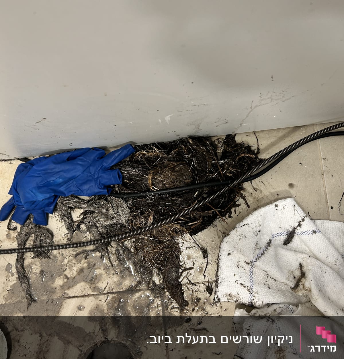 כפפות כחולות, כבל ניקוי, לכלוך על הרצפה
